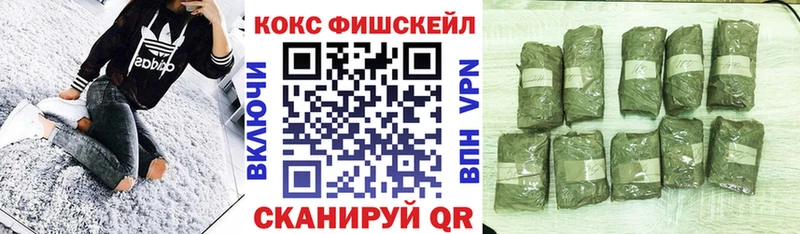 купить   Судак  Кокаин Боливия 