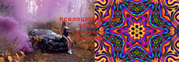 PSILOCYBIN Заводоуковск