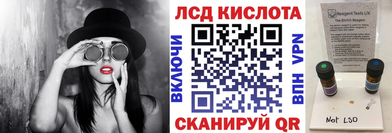 Марки N-bome 1,8мг  Судак 