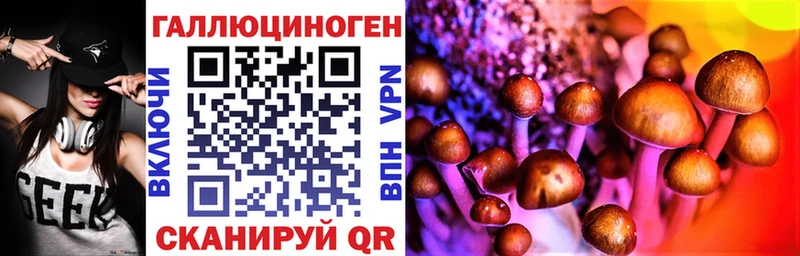закладка  Судак  Псилоцибиновые грибы мицелий 